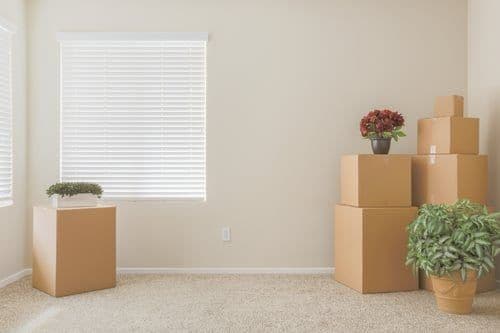 Moving boxes stacked in an empty room ready for a move-out cleaning service