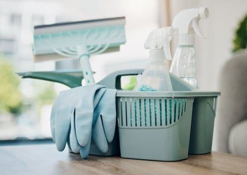 Neatly arranged cleaning supplies beside a sunlit window